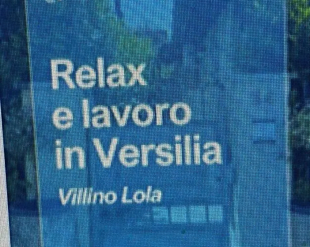 Versilia Villina Lola Apartment