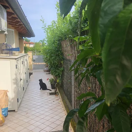 Versilia Villina Lola