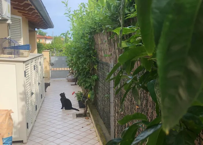 Versilia Villina Lola